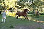 Isadora juni 2010
