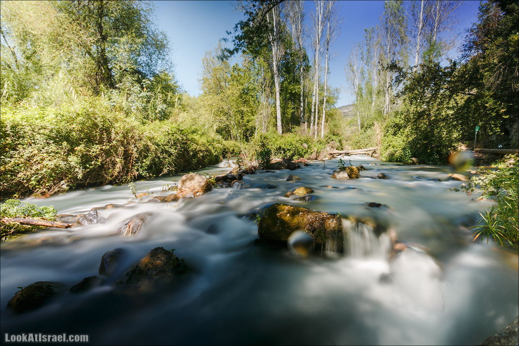 Молочные реки заповедника Баниас