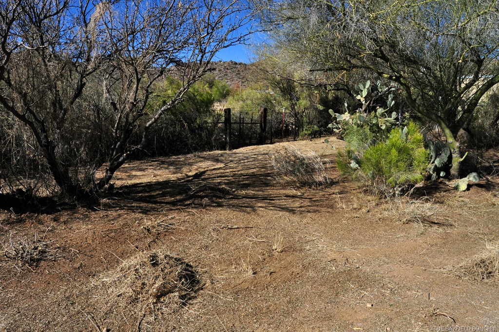 [DSC_0012%255B3%255D.jpg]