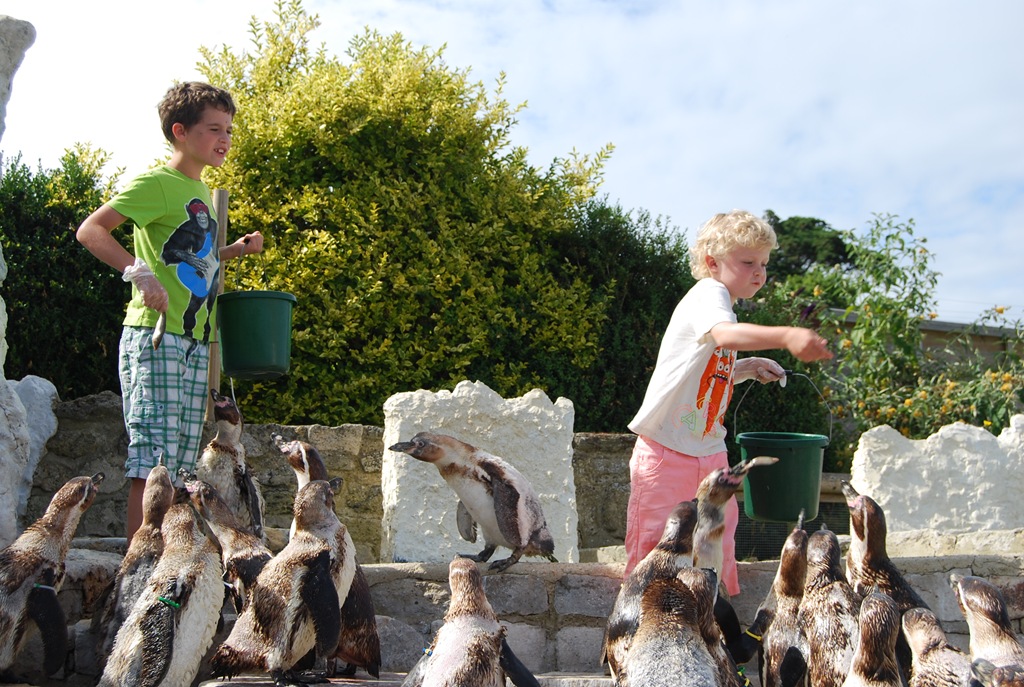 [DSC_0828%255B5%255D.jpg]