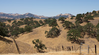 DSC02922.jpg