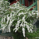 IMG_6561.JPG