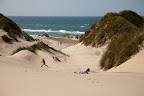Nordseedünen bei Skagen