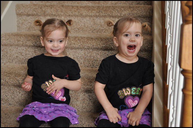 DSC_0953 DSC_0953