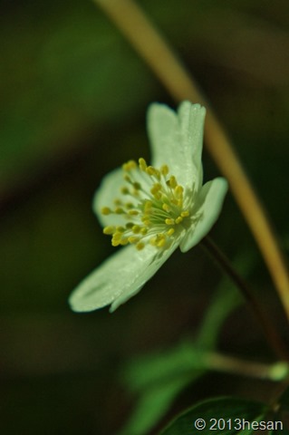 059 (425x640) 059 (425x640)