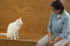 Dr. Jean says you need to monitor your pets and note any changes in behavior.  Changes in eating, energy levels, and frequency of urination can be red flags for uremia.
