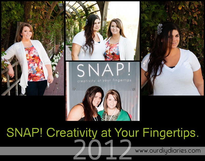 SNAP2012