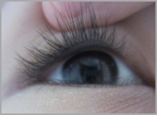 [IMG_680392.jpg]