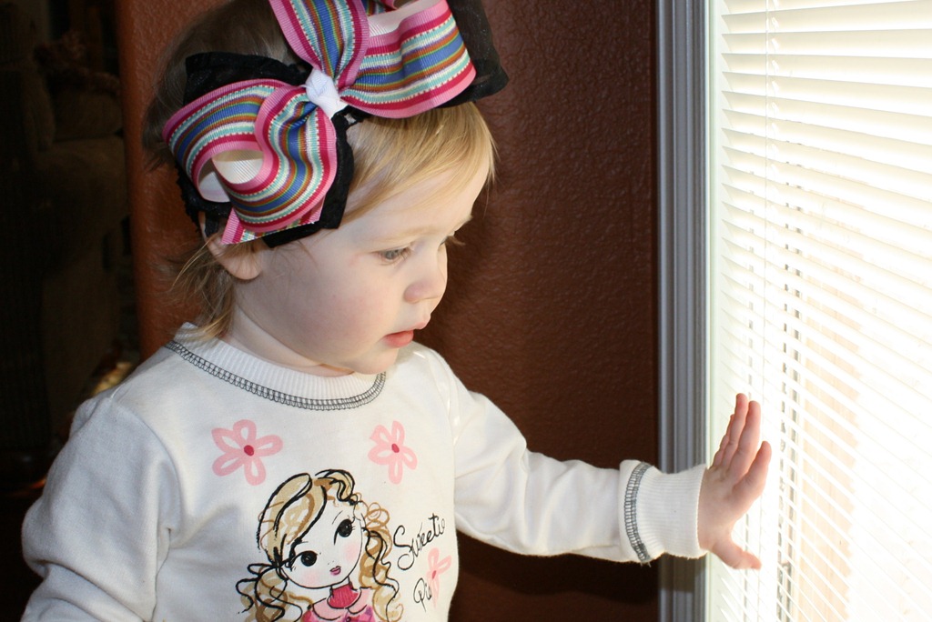 [IMG_6993e5.jpg]