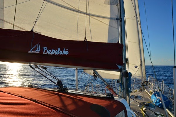 DSC_3664.JPG DSC 3664