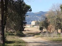 DSC09965.JPG Photo