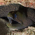 P5123451