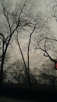 IMAG0352.jpg