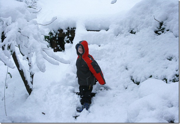 snowdays4