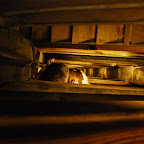 DSC_4433.JPG