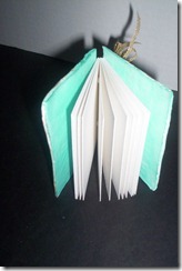 Paperclay  book 017