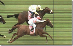 photo-finish1_2042493c photo-finish1_2042493c