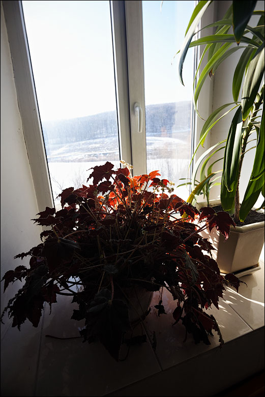 IMG_8780.jpg