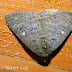 Dscn5171