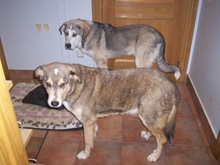 Imagen 113 Imagen 113