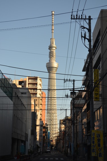 DSC_0993.jpg DSC 0993