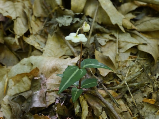 P1070879