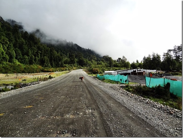 Carretera_Austral_DSC01590