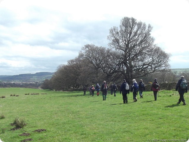 walking down by the park wall