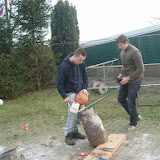 DSC00823.JPG