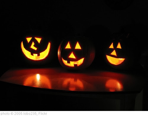 'Halloween Pumpkins' photo (c) 2005, lobo235 - license: http://creativecommons.org/licenses/by/2.0/