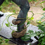 20100825_079_small.JPG