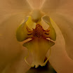 071_edited-1.jpg