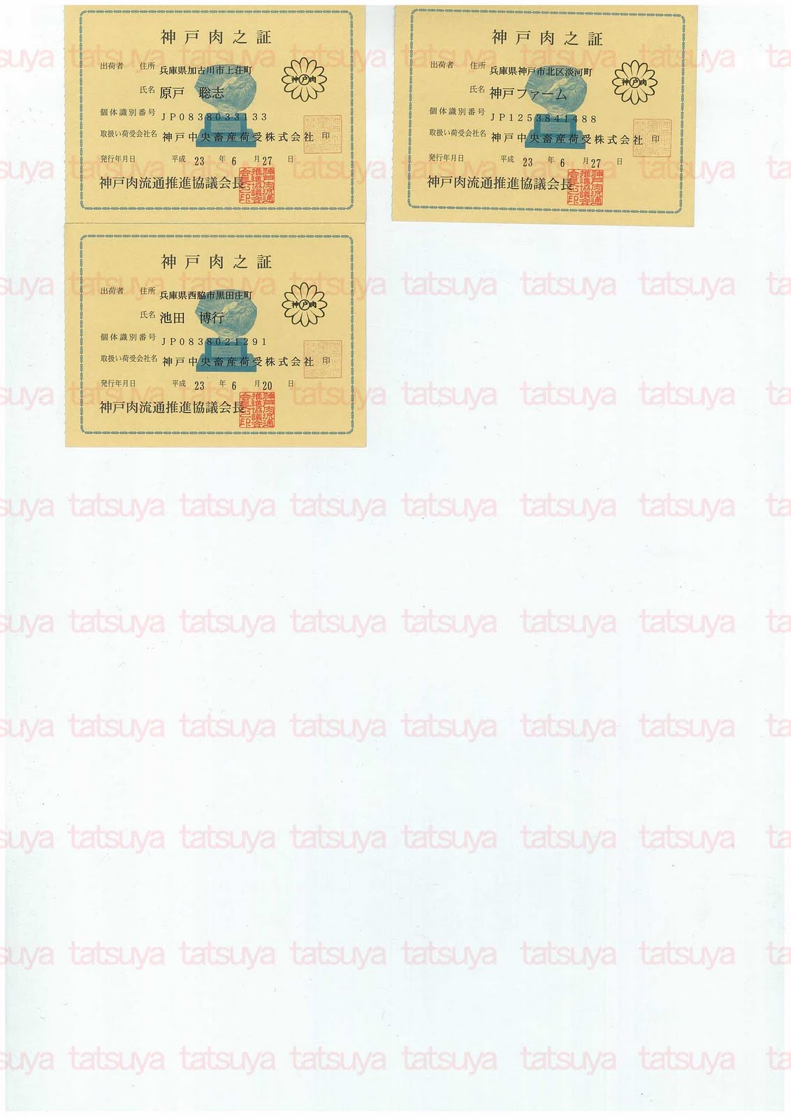 [LOT-11072001-%25232.jpg]