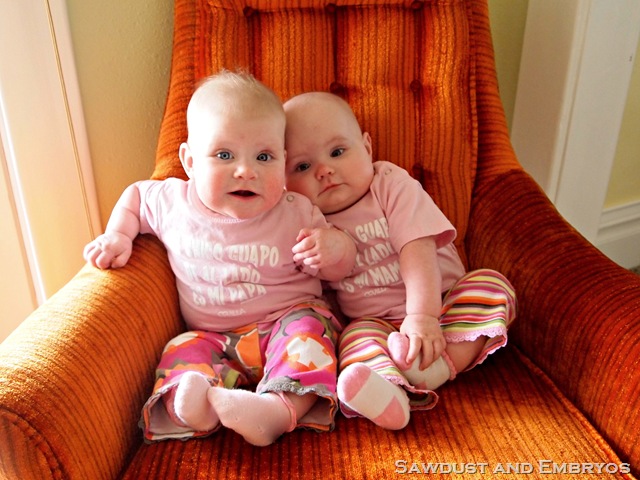 [P2101973-1%255B9%255D.jpg]