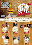 festa-do-peao-salto-2011a.jpg