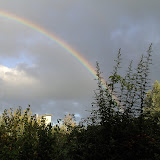 BILD0629.JPG
