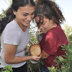 קמפוס כרמל Carmel