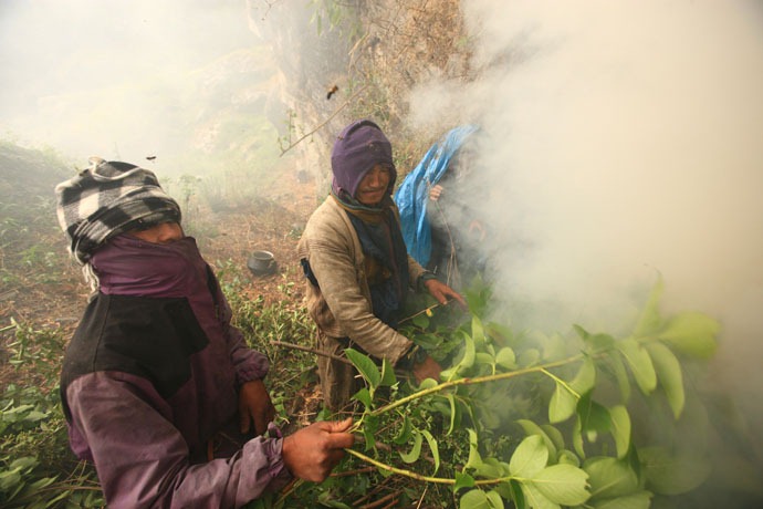 طريق جمع  العسل في النيبال Honey-hunters-nepal-17%5B4%5D