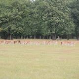 IMG_2788.JPG