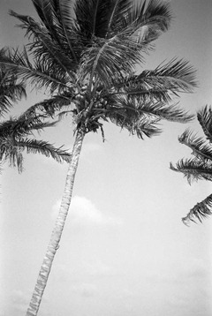 Film-34-10