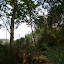 P1010622.JPG