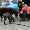 IMG_1278.JPG