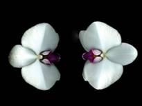 [clip_image002%255B4%255D.jpg]