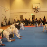 IMG_6368.jpg