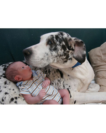 and then I don't feel....
(Riot and rescued dane Daisy)