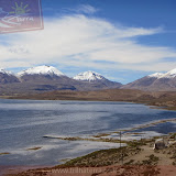 Arica - Parque Nacional Lauca (19 de 48).jpg