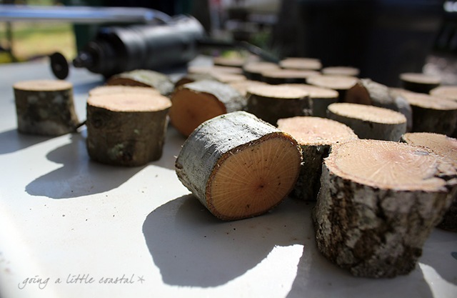 [place%2520card%2520holder%25202_edited-1%255B4%255D.jpg]