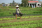 Hoi An, Vietnam 108.JPG