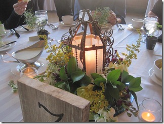 IMG_8798 IMG_8798