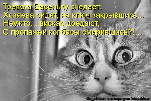 [932d64f48b%255B6%255D.jpg]